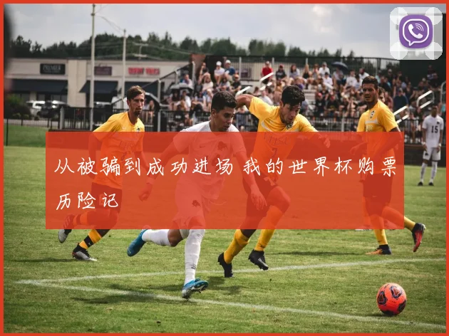 从被骗到成功进场 我的世界杯购票历险记