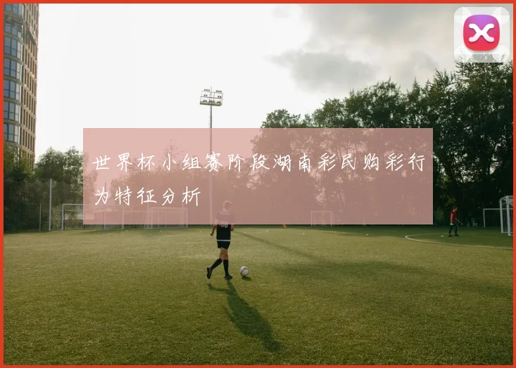 世界杯小组赛阶段湖南彩民购彩行为特征分析