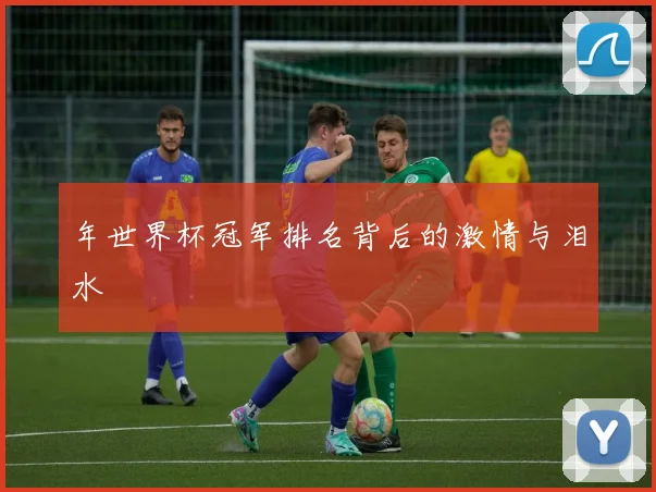年世界杯冠军排名背后的激情与泪水