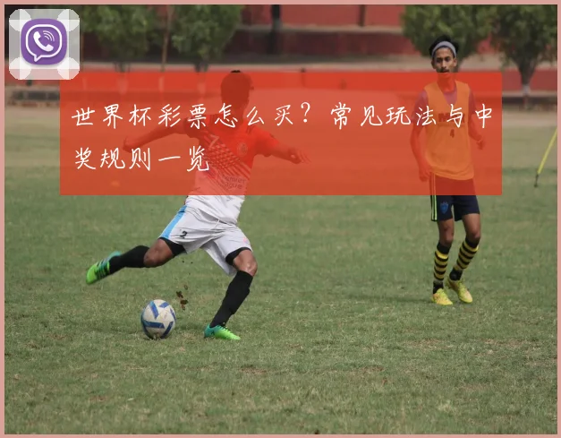 世界杯彩票怎么买？常见玩法与中奖规则一览