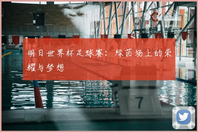 明日世界杯足球赛：绿茵场上的荣耀与梦想