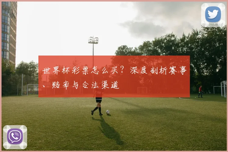 世界杯彩票怎么买?深度剖析赛事、赔率与合法渠道
