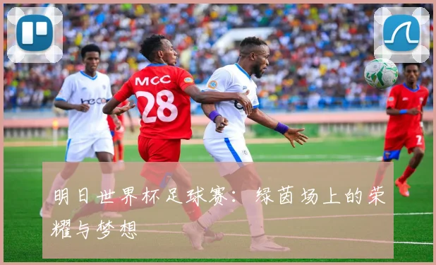 明日世界杯足球赛：绿茵场上的荣耀与梦想