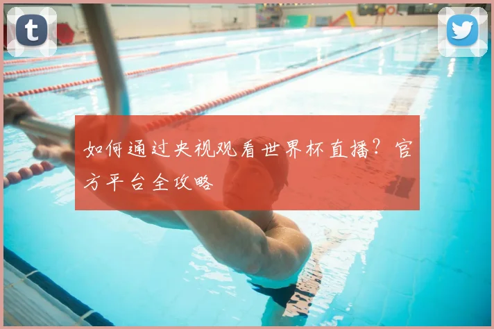 如何通过央视观看世界杯直播?官方平台全攻略